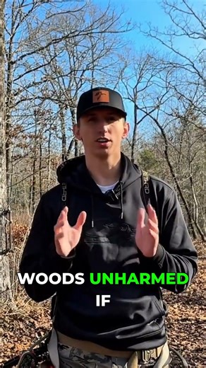 Your Favorite Saddle Hunting Safety Tips?