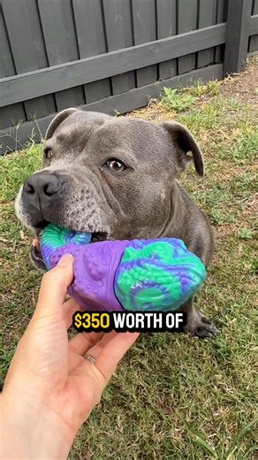 10K views · 58 reactions | Okay, we need to talk about this sale. Up...