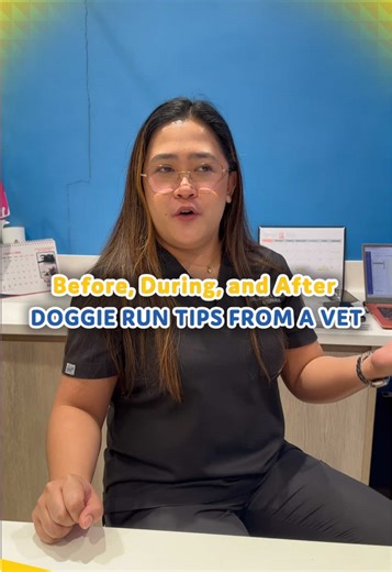 Expert Vet Tips for a Safe & Fun Pet Express #DoggieRun2026! 🐶 Keep your furbaby happy, healthy, and race-ready with these important reminders before, during, and after the run, shared by Pet Express Vet, Dr. Jobelle Kyle G. Guado. 👩🏻‍⚕️ BEFORE THE RACE 💉 Make sure your pet is fully vaccinated 😴 Let your dog get enough rest before race time 🍖 Feed a light meal at least 30 minutes before the run DURING THE RUN 🐕‍🦺 Use a body harness instead of a neck leash 💧 Add vitamins or dextrose powd