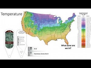 Plant Atmospheric Environment