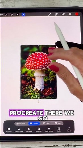 How to Import a Photo into Procreate — Method 2: the hidden drag-and-drop trick 🍄