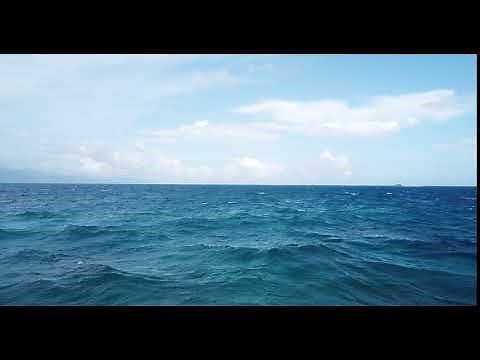 [FREE DRONE FOOTAGE] Sea 002 _ 4K 24fps