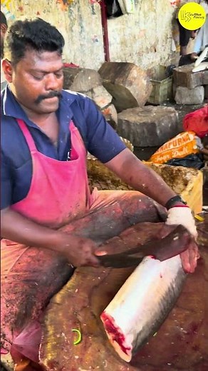 KASIMEDU SEER FISH 🐟 CUTTING VIDEO BY SPEED SELVAM #kasimeduselvam #bigfish #shorts #youtube