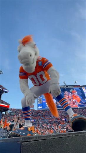 Broncos mascot Thunder fired up as Denver dominates Cowboys in Week 8 🏈⭐️ | Jonah Javad
