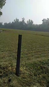 Real Hunting on Reels