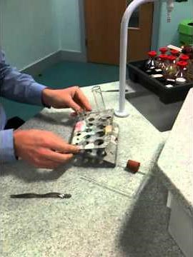 Calcium Carbonate and Hydrochloric Acid Demo