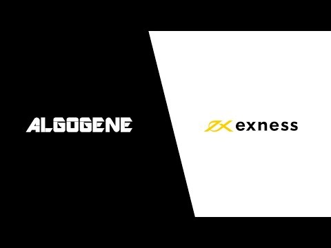 ALGOGENE Tutorial: Connect Trading Account with Exness
