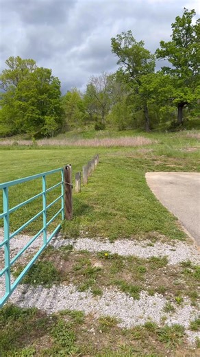 The 2025 Ford Expedition is for the family, and Ford has added a lot of cool features for this new model the Tahoe doesn’t have! In the second row, you can option a bench onto almost every model to have max seating capacity, and the third row can even be 40/20/40 split for easy storage! Even better… is the new Split Gate, with available table to make tailgating or camping a breeze! So, ranging from $62,000-$90,000, would you buy one of the new Expedition models?#carreview #carsofinstagram #cars 