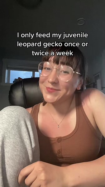 Daily Feeding Guide for Juvenile Leopard Geckos