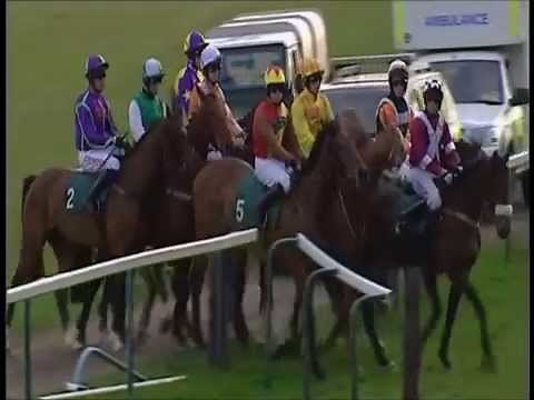 Race Night Services - Jump Race BUY ONLINE Charity Fundraising Ideas UK