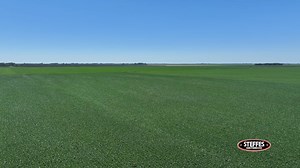 Here is your opportunity to own some of the nicest land in Norman County, MN! This farm includes two tracts of land with overall soil productivity indexes well into the 90s. Last chance to bid is Thursday, September 12. For more information visit: https://steffesway.com/NormanCounty193 | Steffes Group, Inc.