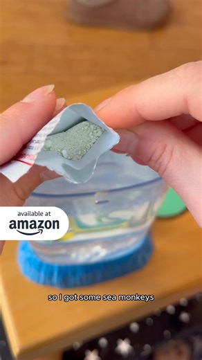 Ever wondered how Sea Monkeys work?🦐🌊 Watch Growithjessie hatch and care for these tiny creatures that grow to about an inch!🌟🧡 Get yours on Amazon.com and dive into the world of these mysterious little creatures! | Schylling Toys