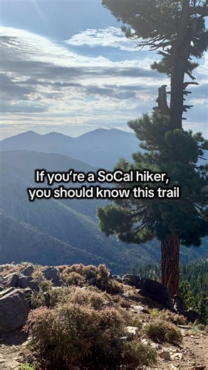 If you’re a SoCal hiker, Throop Peak should be on your list. Located in the Angeles National Forest in the San Gabriel Mountains, Throop Peak sits at 9,138 feet and delivers panoramic Southern California views with only ~4 miles round-trip and about 1,200 feet of elevation gain from Dawson Saddle. It’s a moderate SoCal hiking trail that connects to the Pacific Crest Trail (PCT) and can be combined with Mount Burnham, Mount Hawkins, or Mount Baden-Powell for a bigger training day. If you’re build