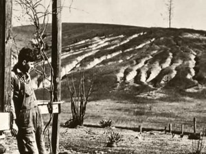 Driftless Area Initiative-Wisconsin