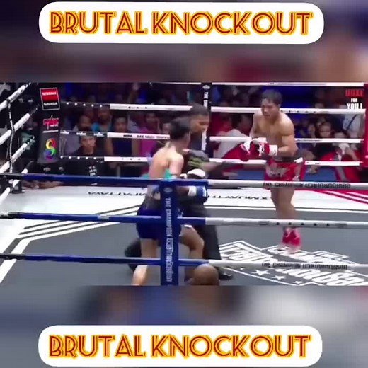 Brutal Knockout in Muay Thai Match Highlights
