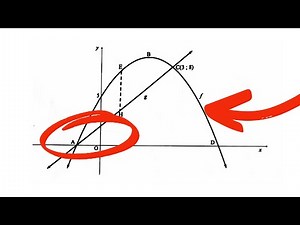 Question 6 Functions & Graphs Grade 12 November 2024 (m = 3)