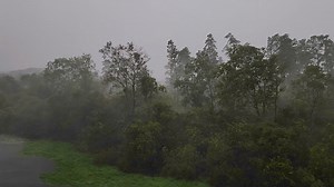 Ryan Slattery shared this video of heavy winds and rain from Hurricane Milton in Brandon, Florida. | Spectrum Bay News 9