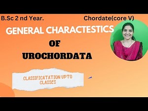 General Characteristics of urochordate bsc 2nd year||classification of Urochordata||#3rdsemexam