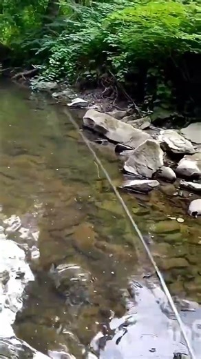 Proper snag removal technique