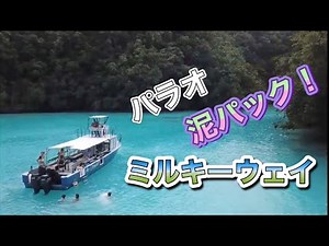 泥パック！パラオ・ミルキーウェイ・ディーズパルス沖縄
