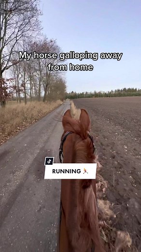 Horse Galloping Away from Home