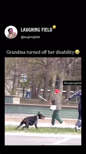 Laughing Field😎 on Instagram: "Dude makes weird noises at a dog… bad move! The dog charges, but the real MVP? A granny nearby, who suddenly unlocks God Mode! Walking stick? FORGOTTEN. Arthritis? Deleted. She ran like she had a flight to catch! Funniest parkour moment ever! #GrannyGotWheels #FastAndFuriousSeniorEdition"