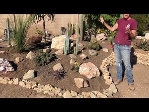 What Soil Works Best For Cactus