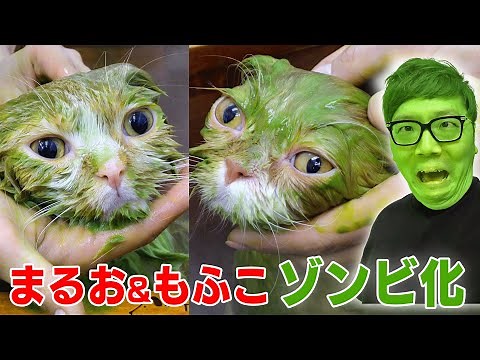 Maruo and Mofuko have turned into zombies...