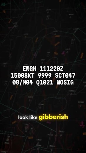 How Pilots Read METAR Weather Reports