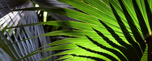 Conservation Zones Review