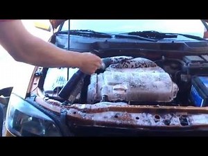 Cleaning the engine with meguiars engine cleaner and engine dressing