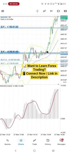 Learn Forex Trading Step by Step 📊 | Gold (XAUUSD) Setup Explained