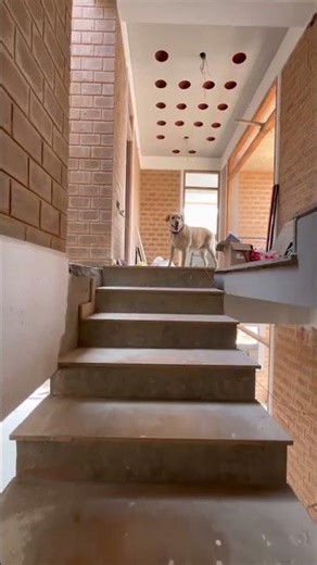 The 3Ds never do justice in compare to the real experience of a space. #mudhouse #sustainability