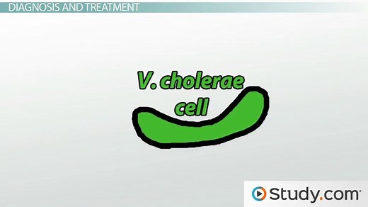 Cholera: Causes, Treatment and Prevention