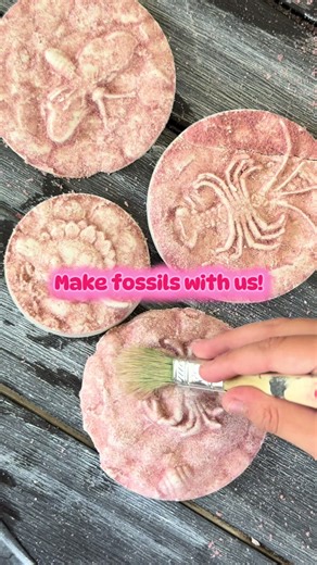 Creating Plaster Fossils: A Fun Geology Activity