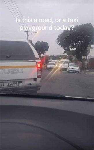 Taxi Recklessness: A Day on the Road