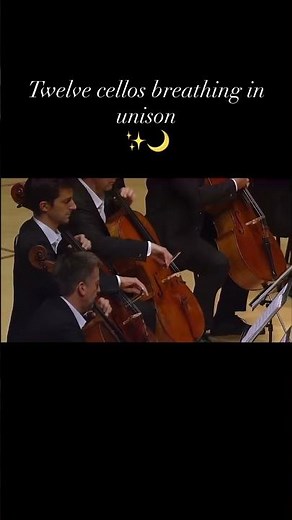 12 Cellos. One Pavane. Infinite Tenderness 🎻