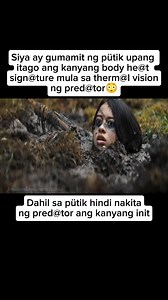 Dahil sa pütik ay hindi nakita ng pred@tor ang init ni Naru, ang pangunahing kar@kter. #movies #moviescenes #movieclips #thriller | Jeralden Loquinario Toledo
