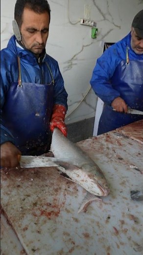 Ancient Way to Fillet Indian salmon That Still Beats Modern Methods