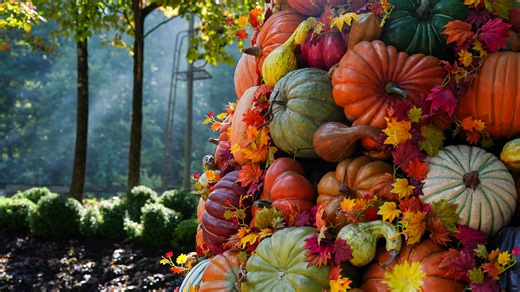 Can you still see gorgeous fall colors in East Tennessee? Where to go leaf-peeping now