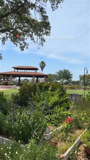 135K views · 2.9K reactions | Need a reset? Coast into 182 acres full of walking trails, greenhouses, butterfly gardens, reptiles, birds, and more!  South Texas Botanical Gardens & Nature Center 8545 S. Staples St. Learn more here: https://bit.ly/3FgniPZ | Visit Corpus Christi | Facebook