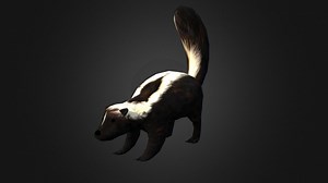 Skunk - 3D model by Ondřej Vališ (@throy)