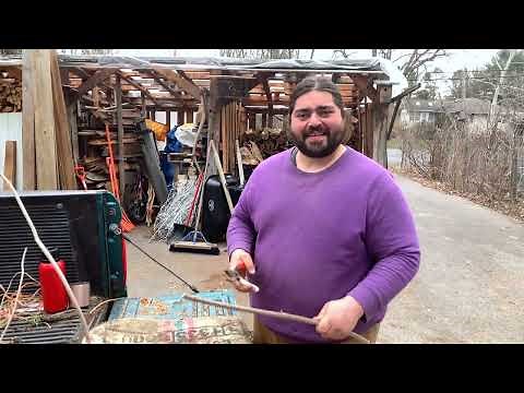 Elderberry Propagation Processing Cuttings Fast and Simple