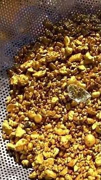 Is YUKON Experiencing the BIGGEST GOLD Rush in History Right Now?