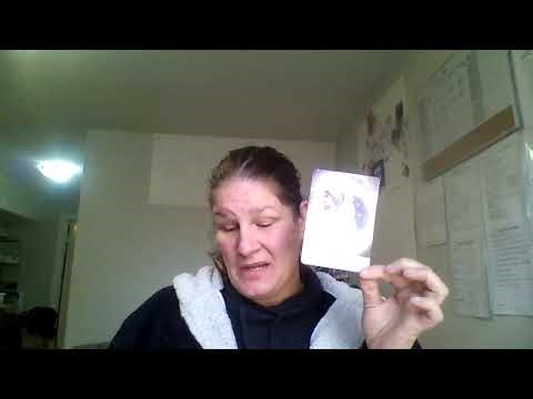 Leo February Action Steps | Practical Healing & Self-Trust