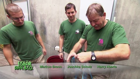 Eisbär, Affe & Co.: Folge 187: Wie schwer ist eine Tigerpython?