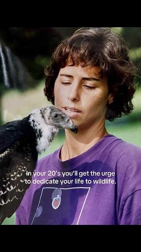 Gail Laux founded our organization in 1988. We are SO happy she did 🌟 🦅 #wildlife #wildliferescue #ohio #animals #lifeinyour20s