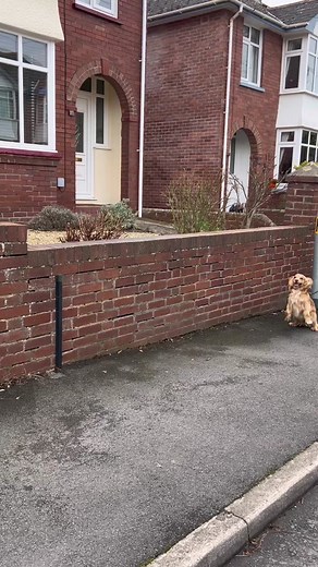 Managing a Baby and a Kangaroo: Tips and Tricks