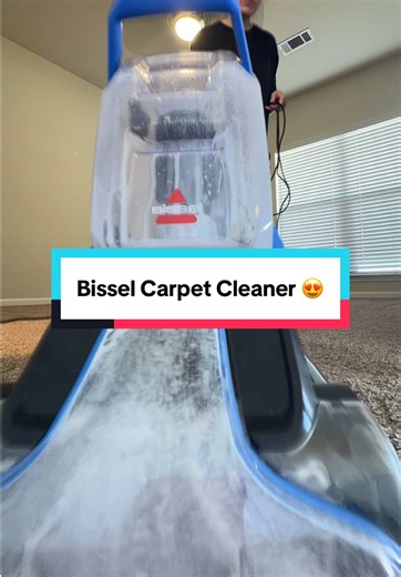 Best Carpet Cleaning Solutions for Pet Hair