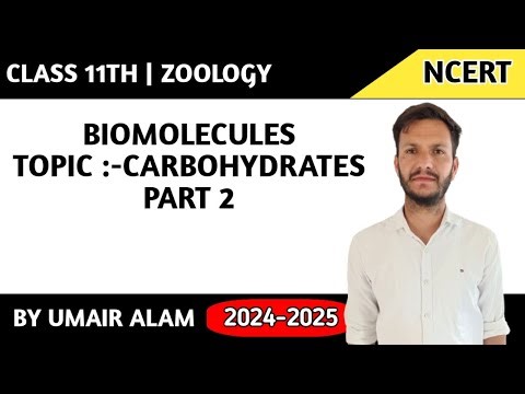 Carbohydrates part 2